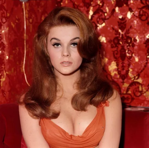ann margret by Old-Trick-587