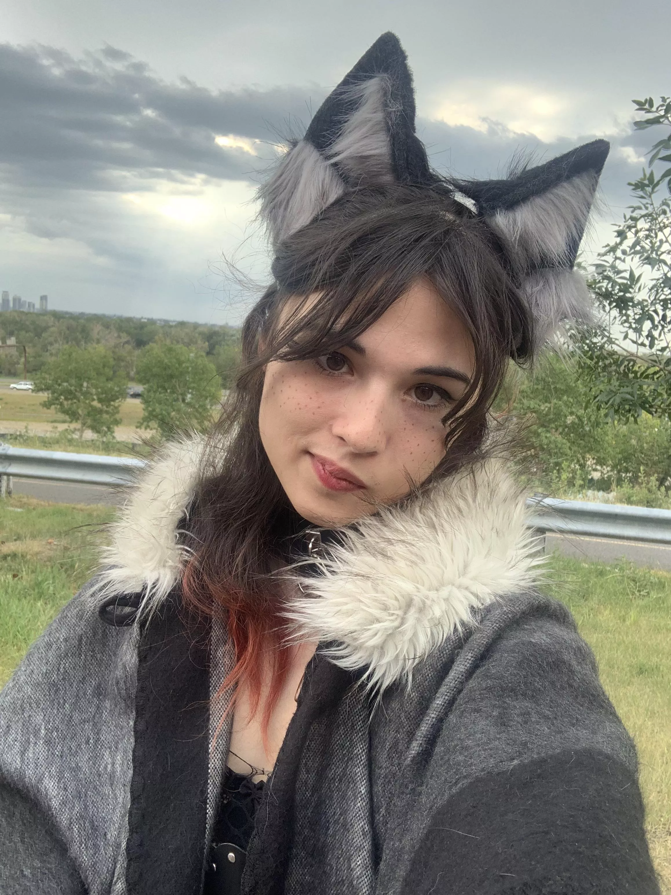 Femboy Wolf posted by deviantr