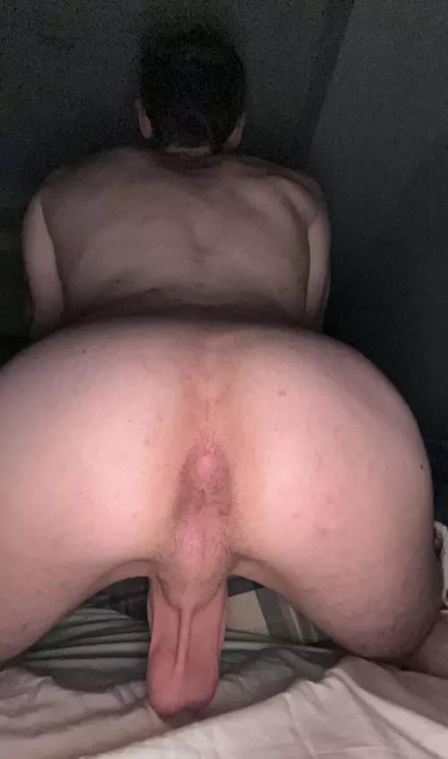 He needs to be stuffed. Come help? (21) by HungYungProfessional