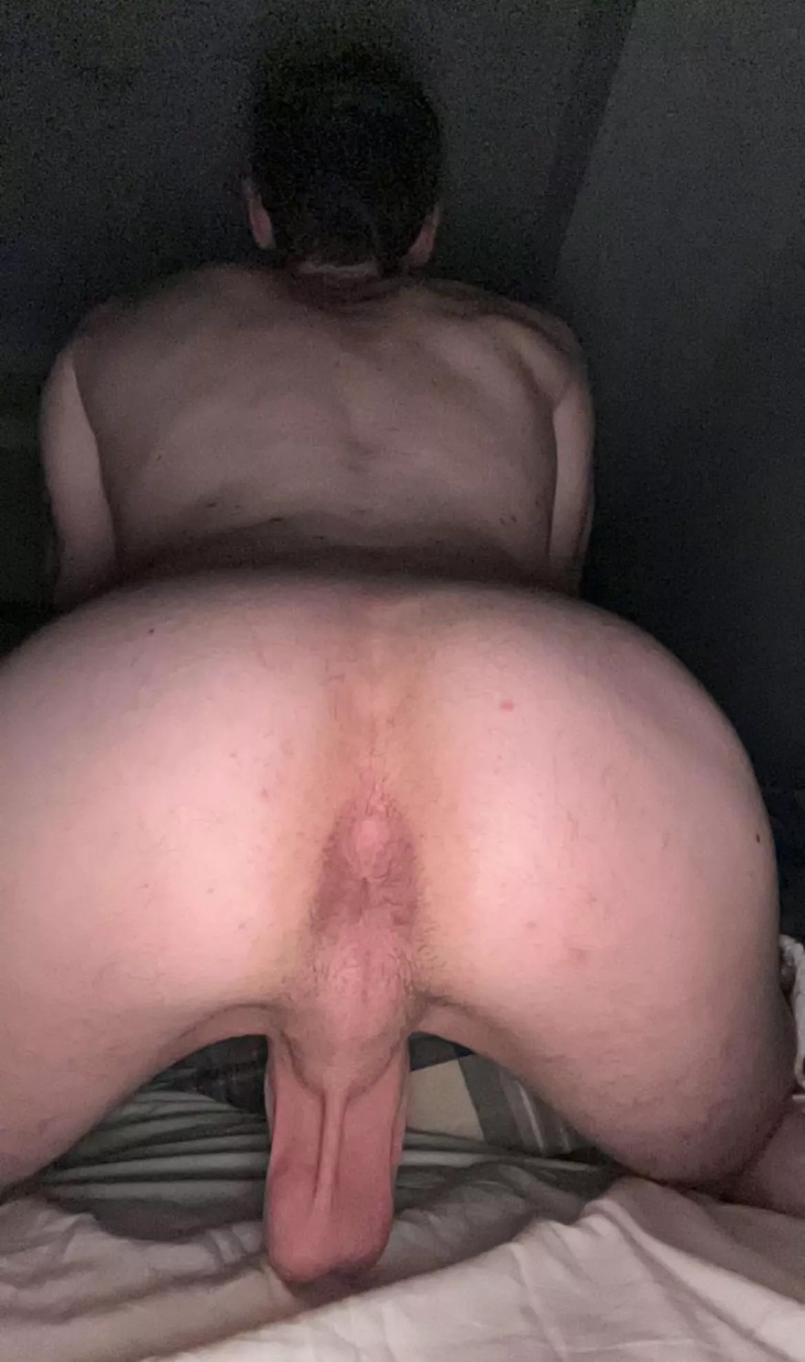 He needs to be stuffed. Come help? (21) posted by HungYungProfessional