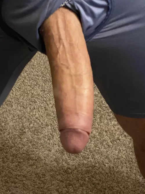 How big on this ThickThursday (40) by Papigrande_215