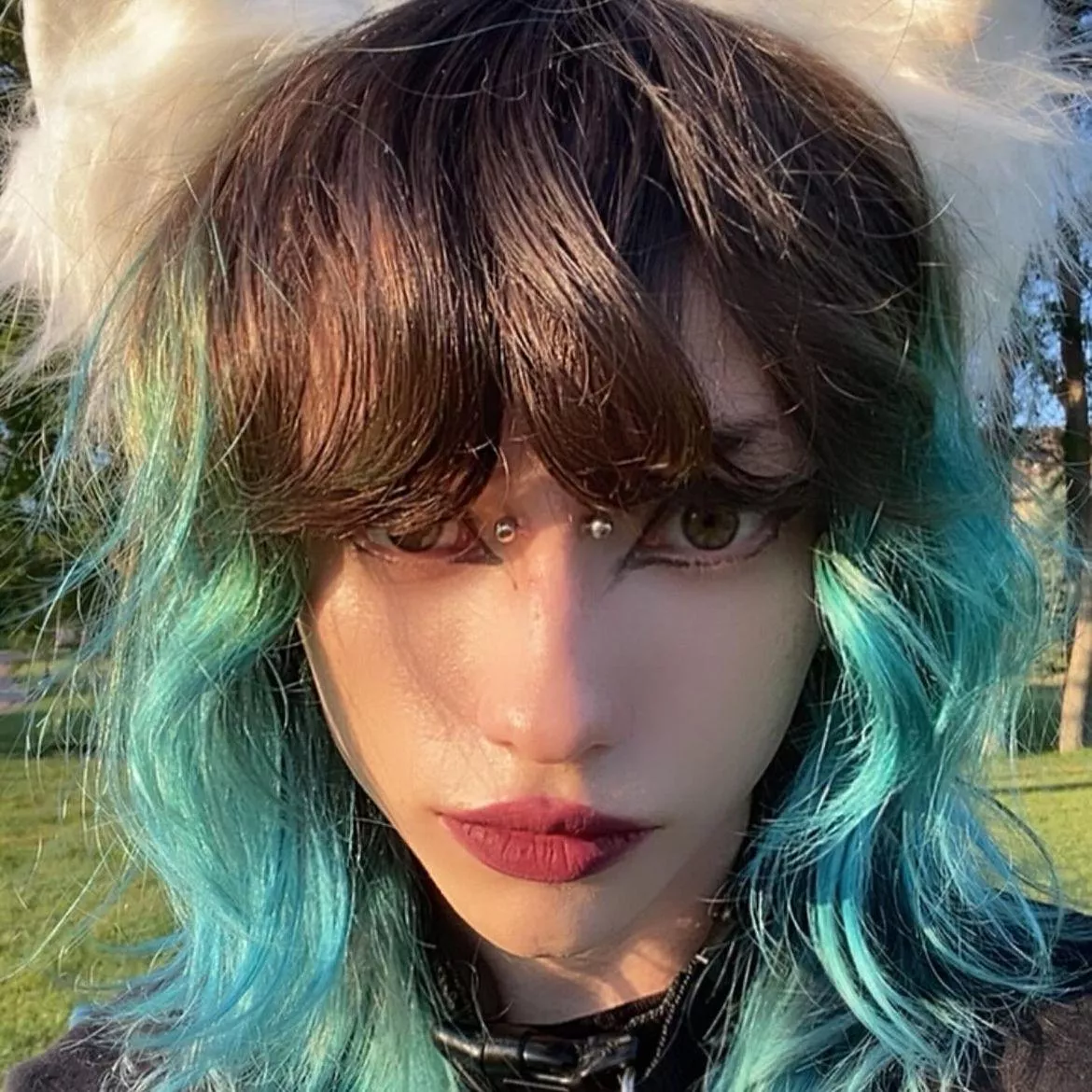 Meow posted by ClueSignificant4163