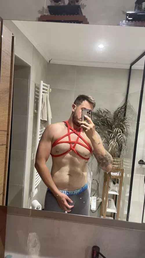 My first harness what you think about it ? Be honest  by Red_elven