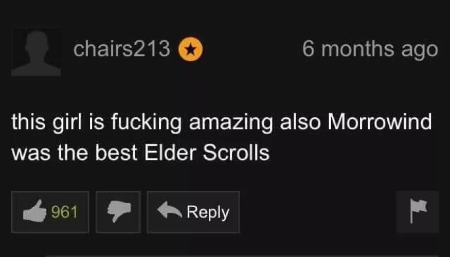 Of course PH dudes like Elder Scrolls the best. They're not classy like the Oblivion dudes on Spankbang 🙄 by JarredandVexed