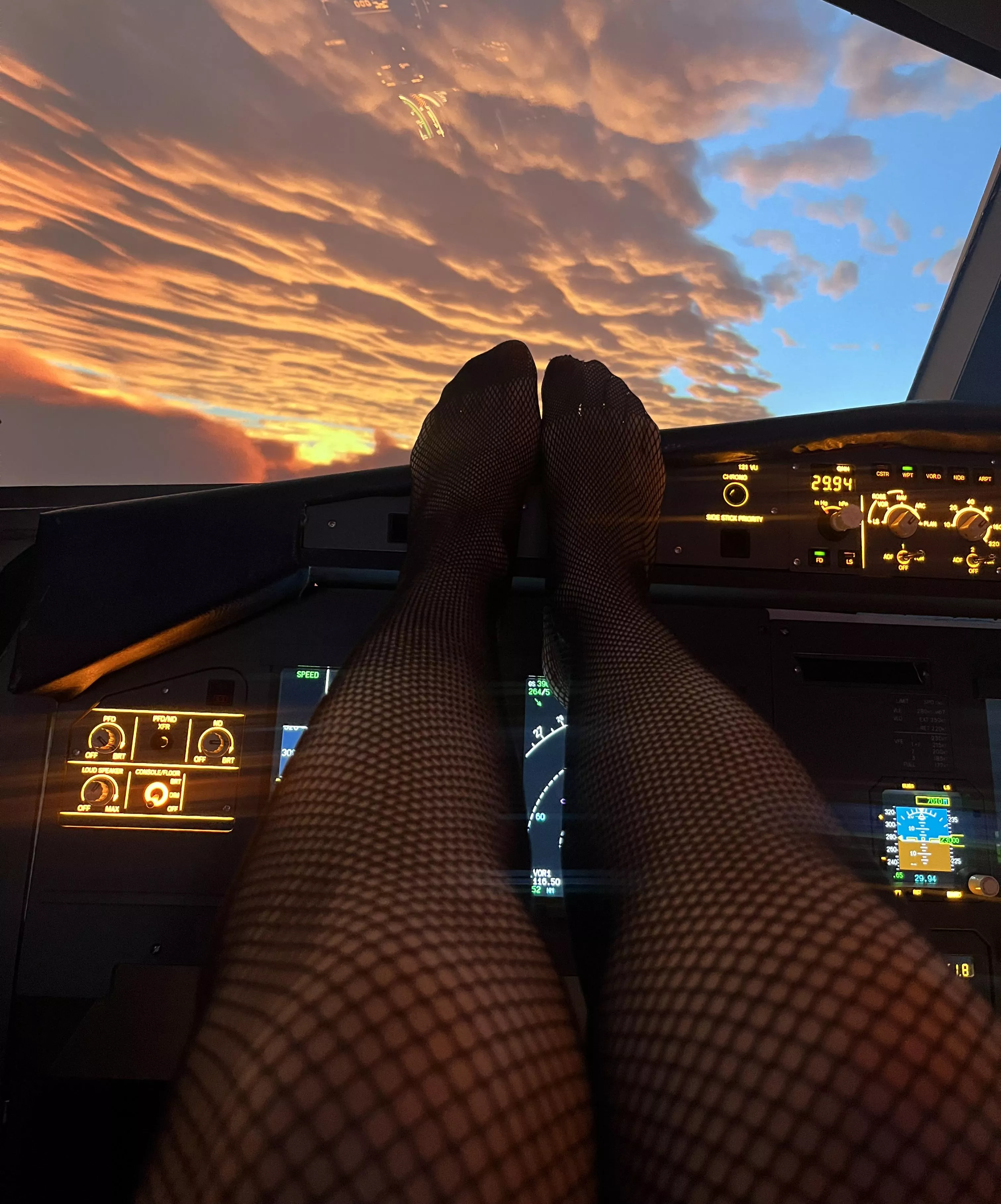 Oh the view  posted by No-Practice-2085