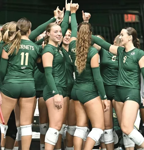 Sacramento state Hornets huddle by dmme2471