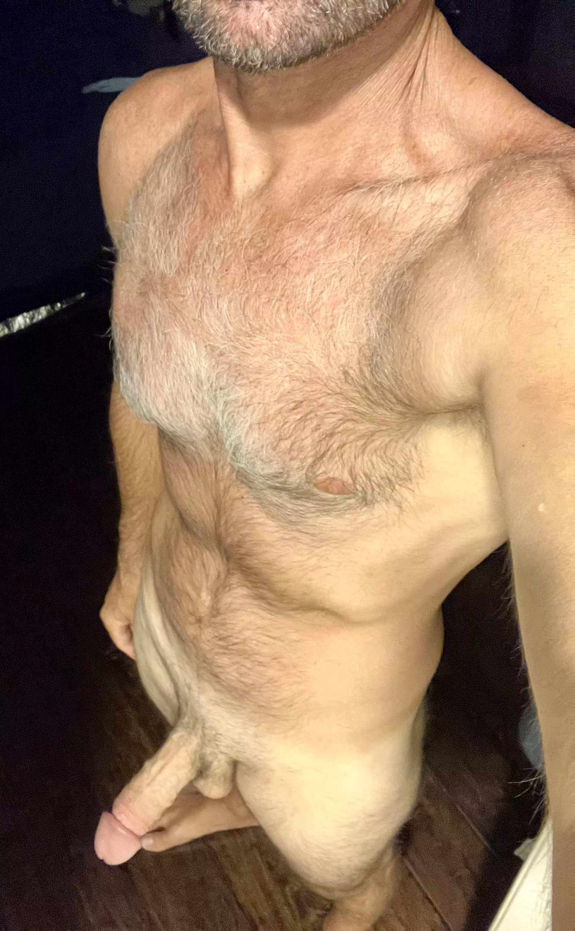 [45]are hairy chests and hard ons your thing? posted by Ilikesunset