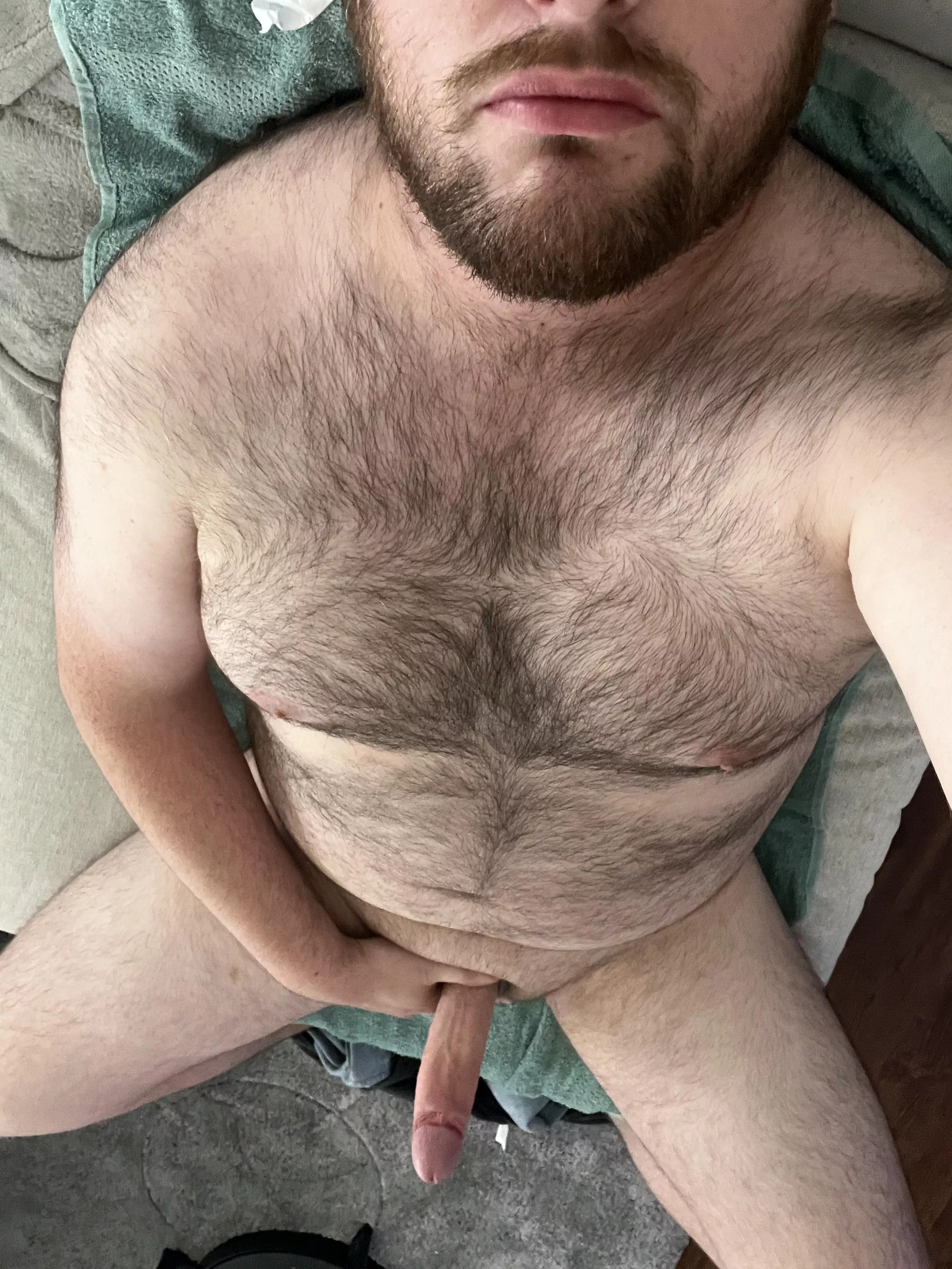 Give this chubby hairy Dutchie some love - what are your thoughts?  posted by AlternativeTop4107