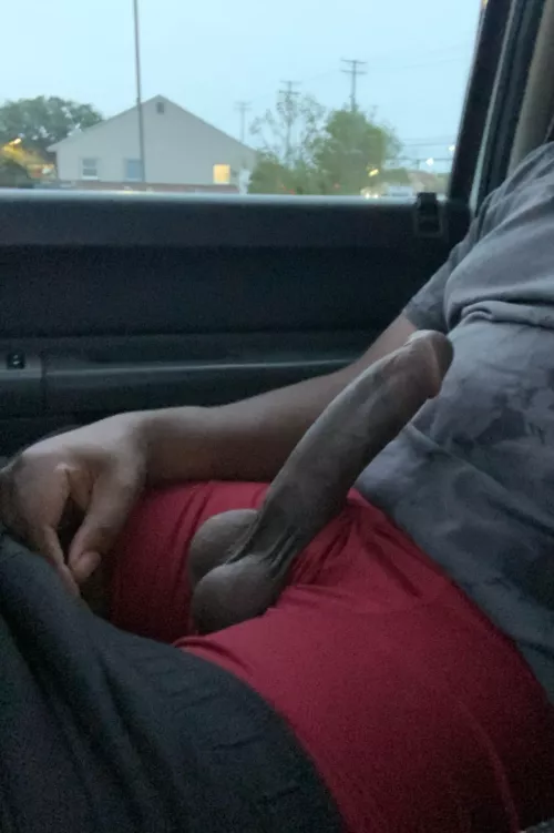 I’m back and here’s another post for you🩶🌹 by DaddyLycan2