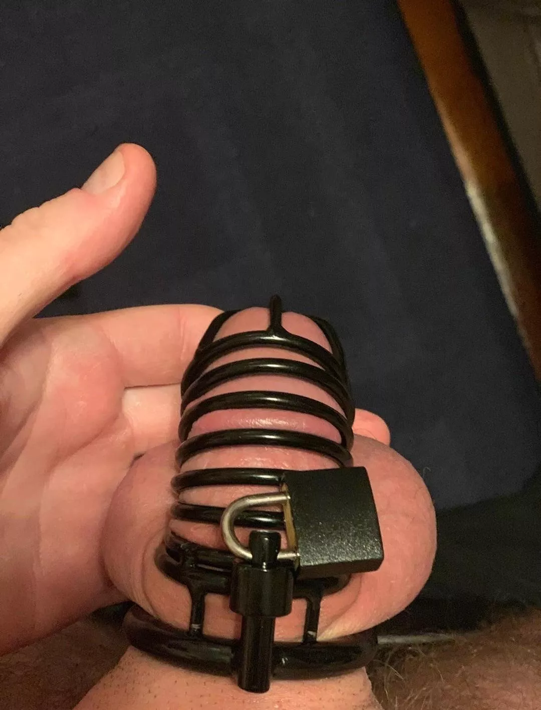 Just getting into caging. What do you think?  posted by CuriositySaves15