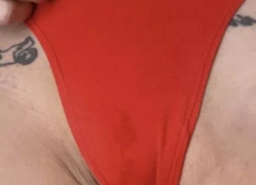 my panty is getting wet everyday posted by Due-Coffee-6106