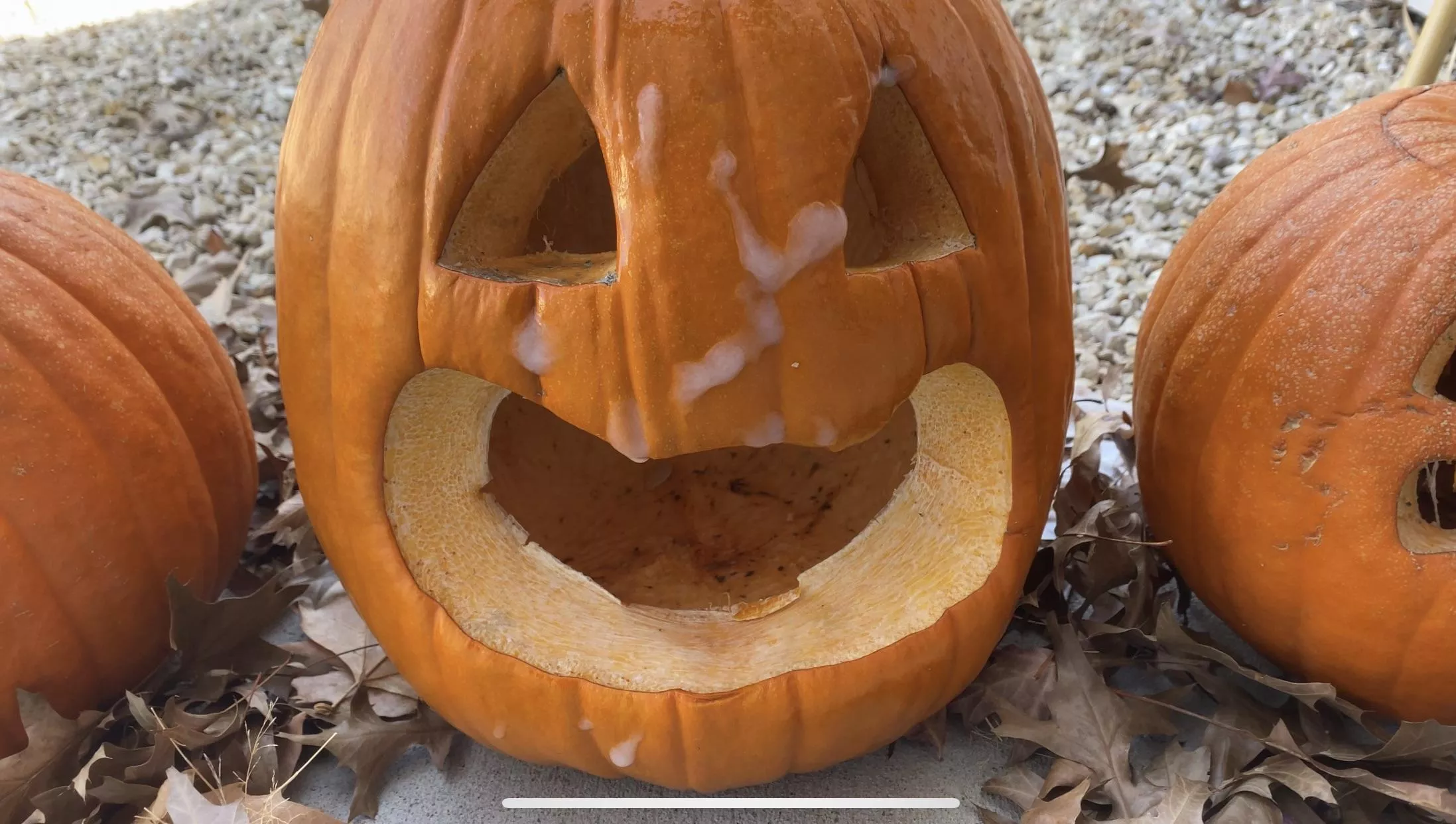 R you ready for Halloween? [CumTagging] posted by ShadowDemon67