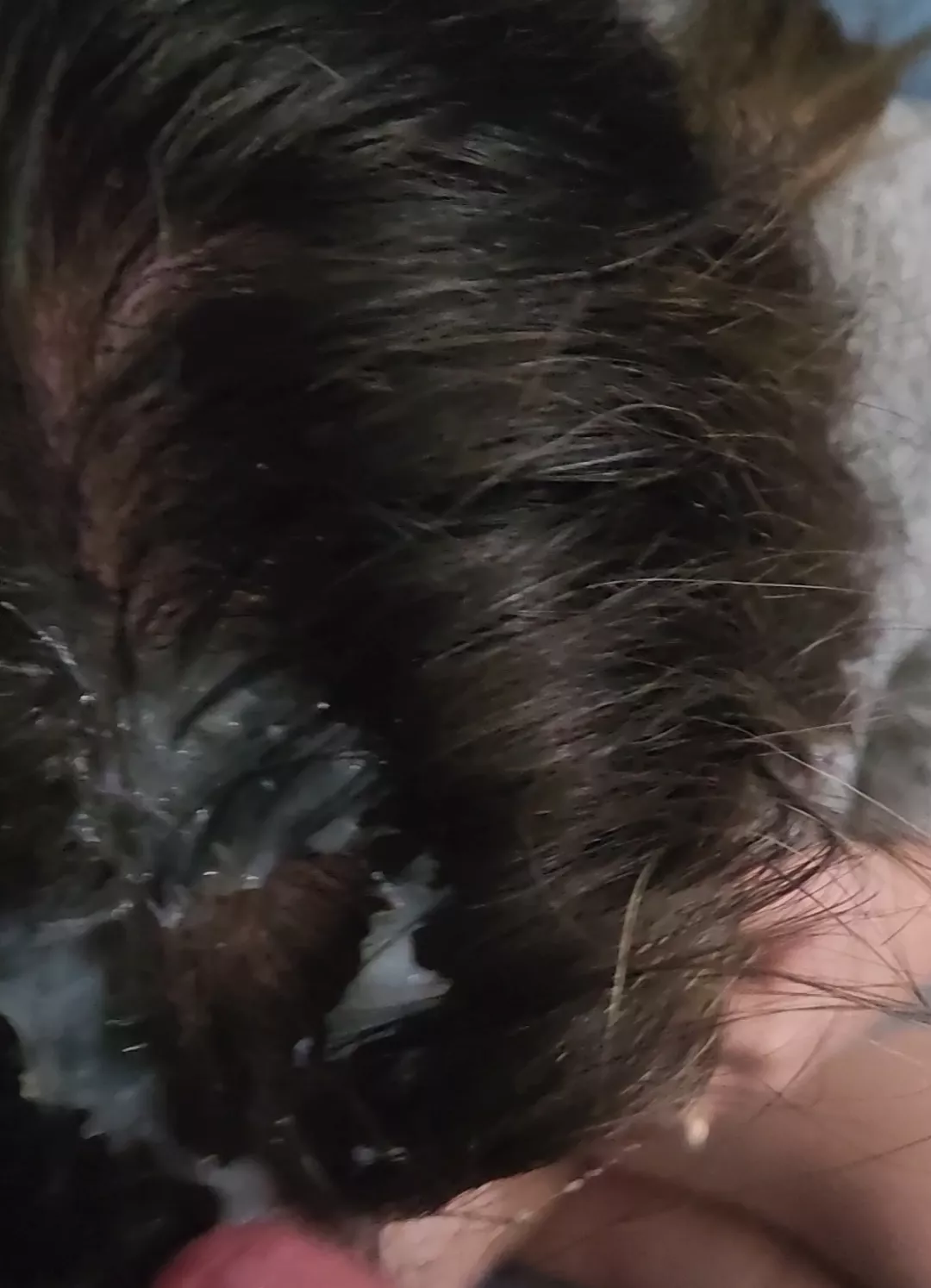 Thick load for my hair posted by sharingstone