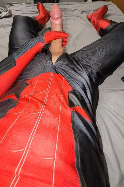 24 y spidey by mitirsi