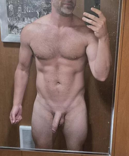 43 and V by justthedfacts