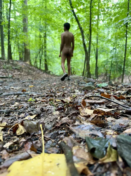 Brown and Green: An Indian Blending Into Nature, Bare and Free 🌿🌳 by zenracer555