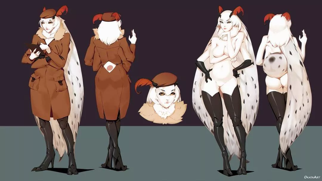 Elegant Moth in search for a bright lamp posted by KnotBunnny