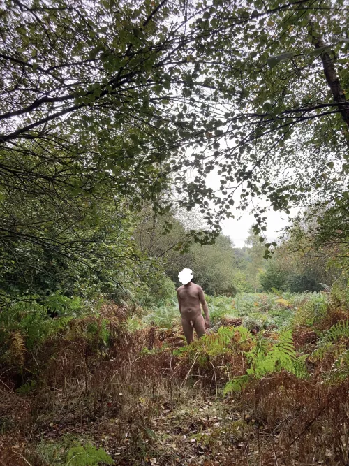 Fall is Coming Quickly by robertbertos101