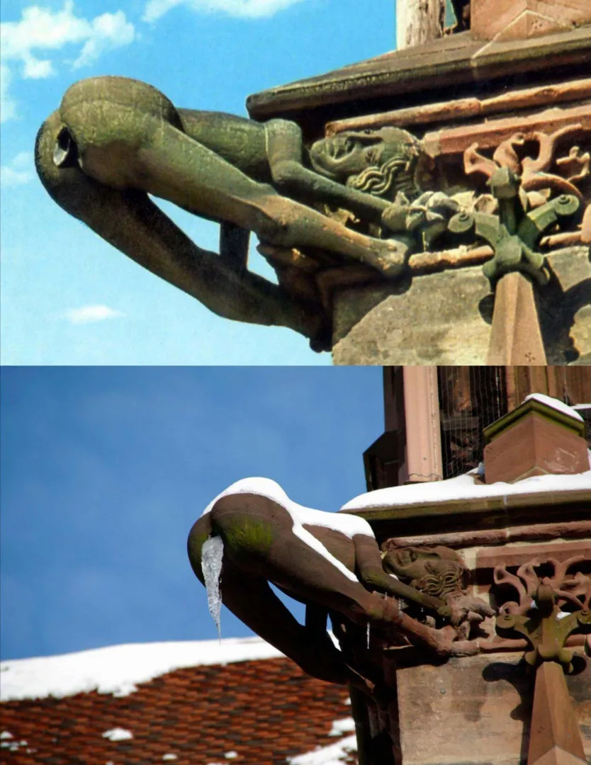 Gargoyle on the Freiburg's Cathedral (Freiburg Münster), Germany. by raiderrockz21