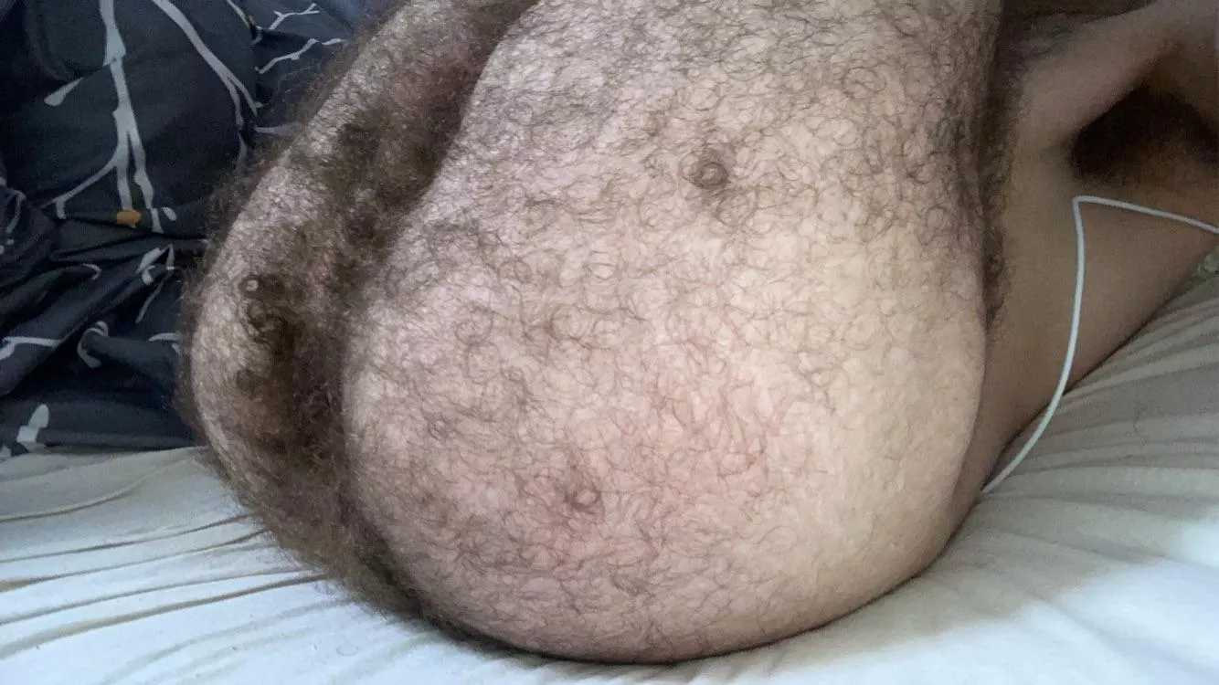 Let me sit on your face :)  posted by hairyotterboy23