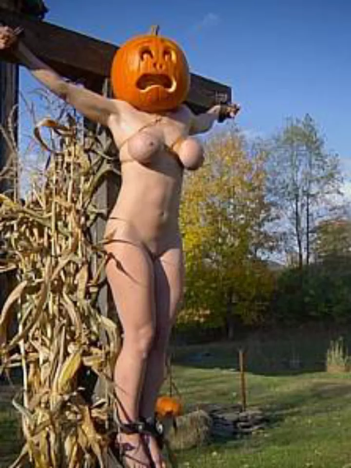 The scarecrow turns her head posted by subywesmitch