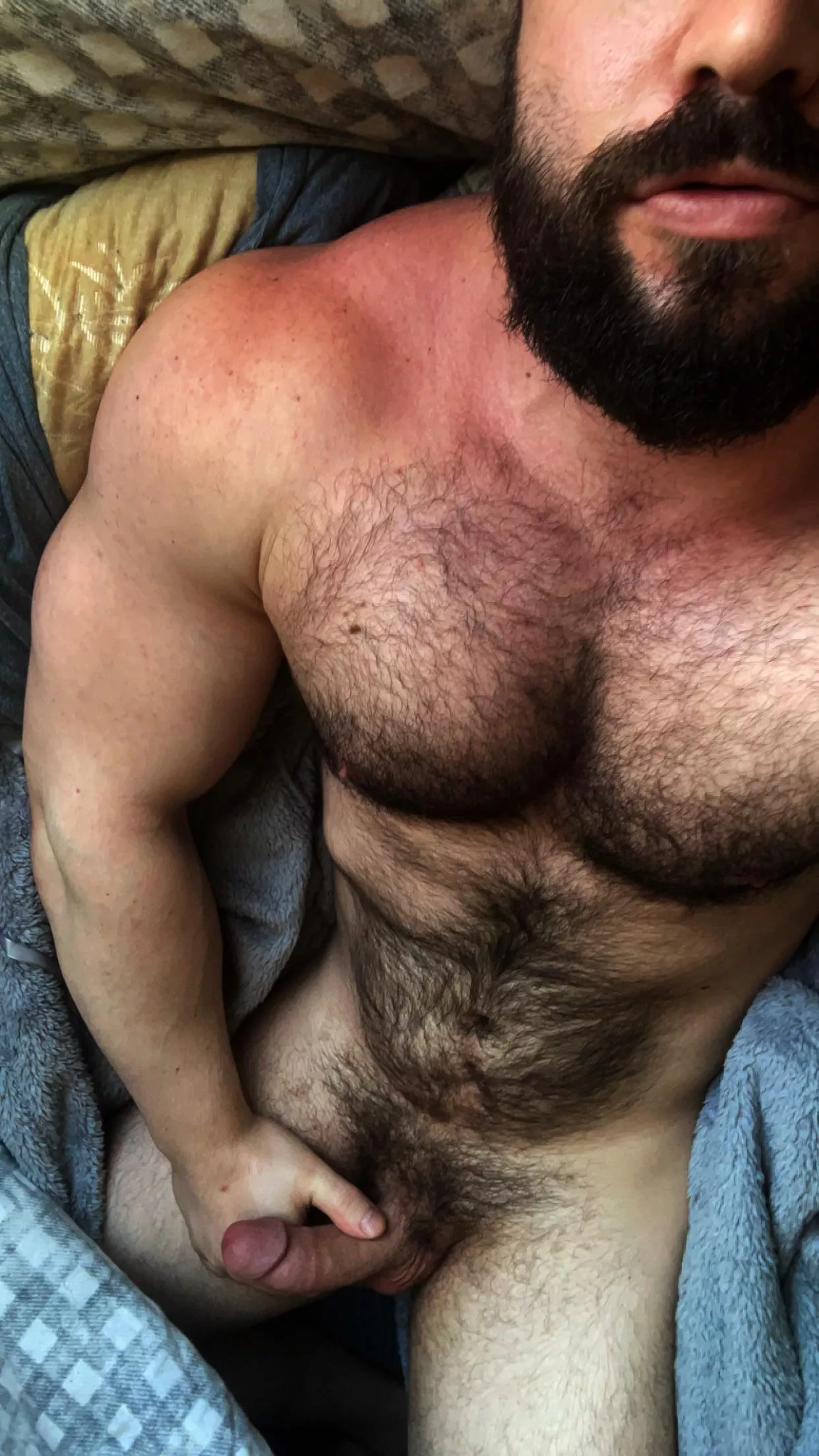 Woken up by my own 7am semi  posted by forrestryder