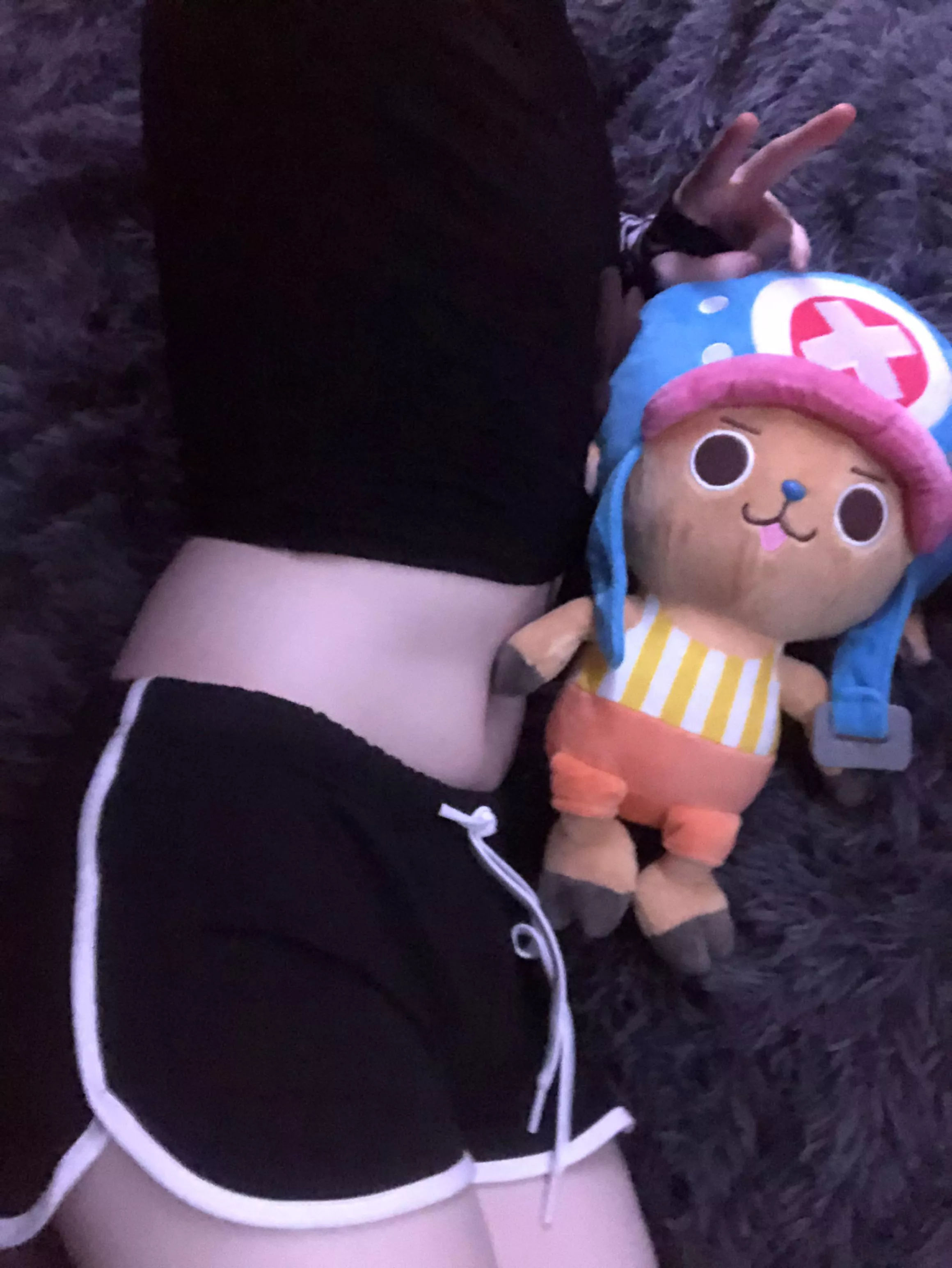 Chopper :>  posted by ImKiri-