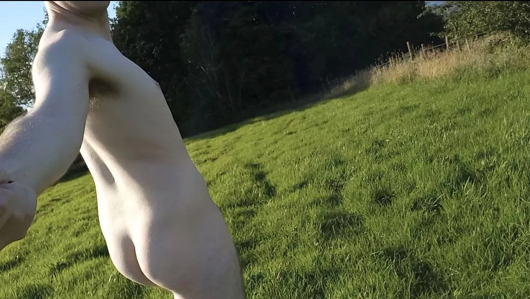 Exhilarating field walk 2 posted by jnkd1