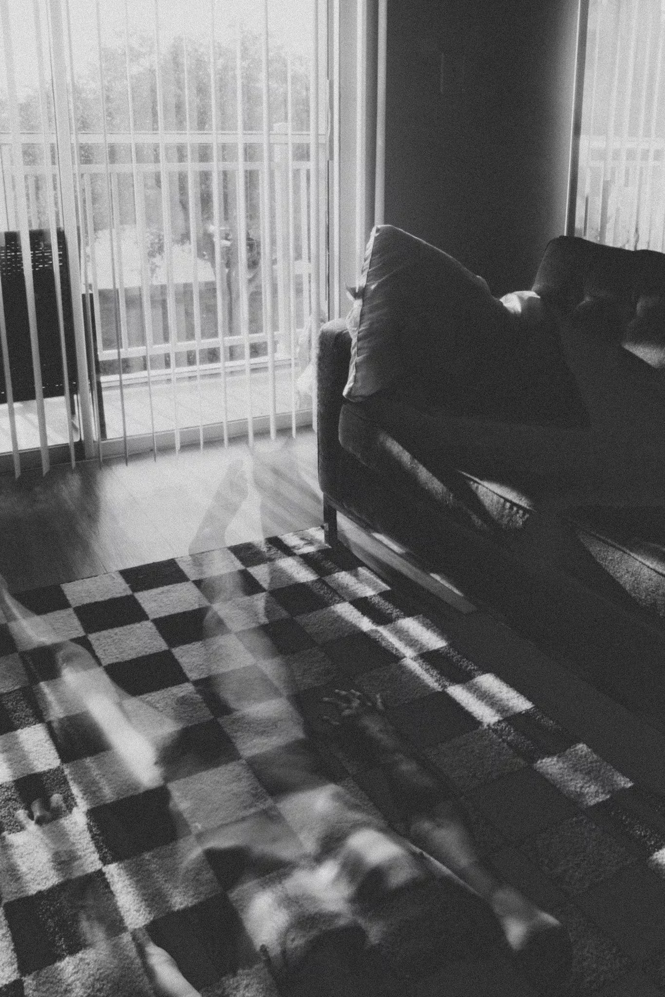 Ghosts posted by Shayneich