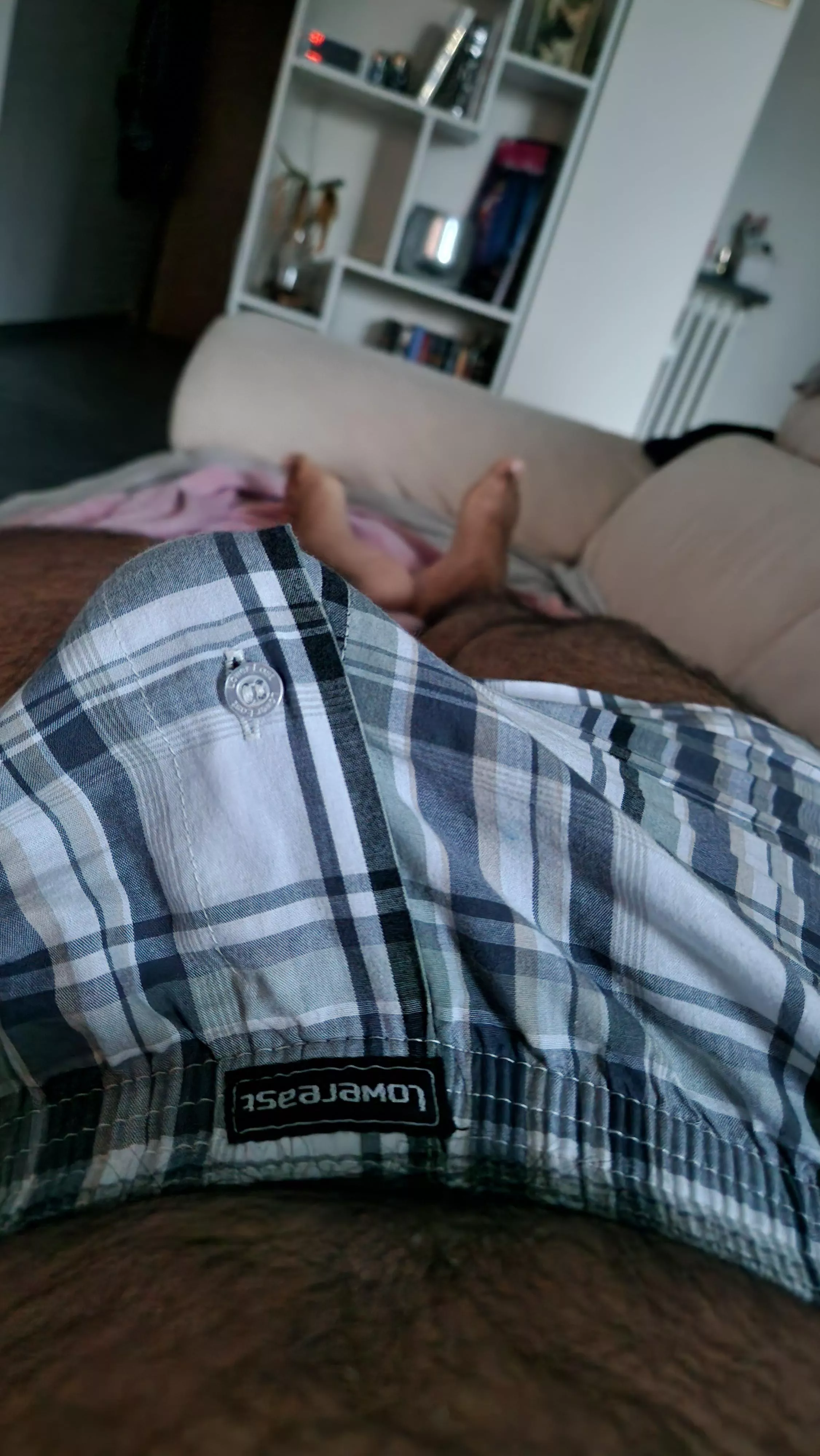 Good morning posted by PlutoBunker