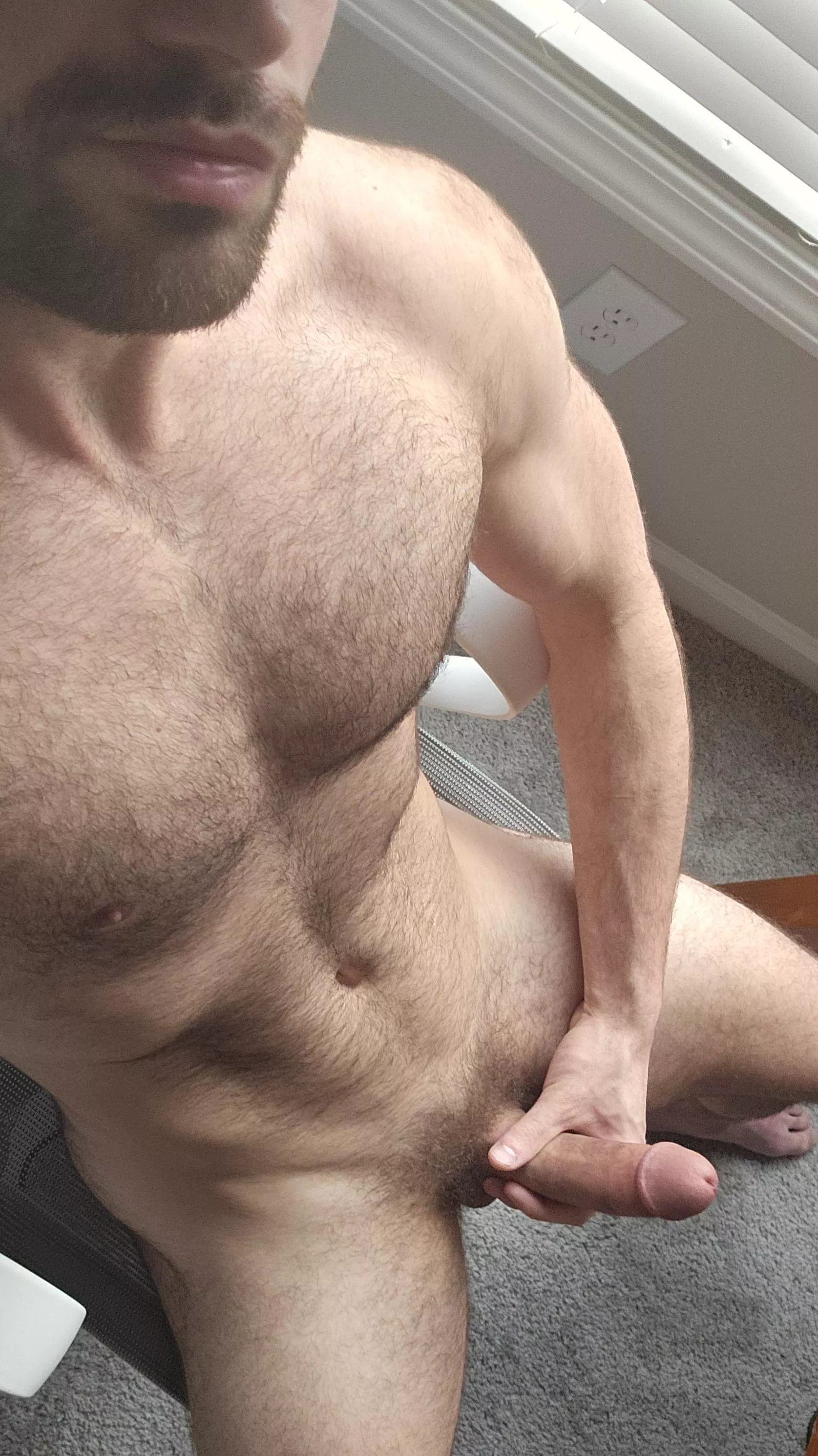 Hey bro like my hairy chest? (26) posted by wherethetwinks