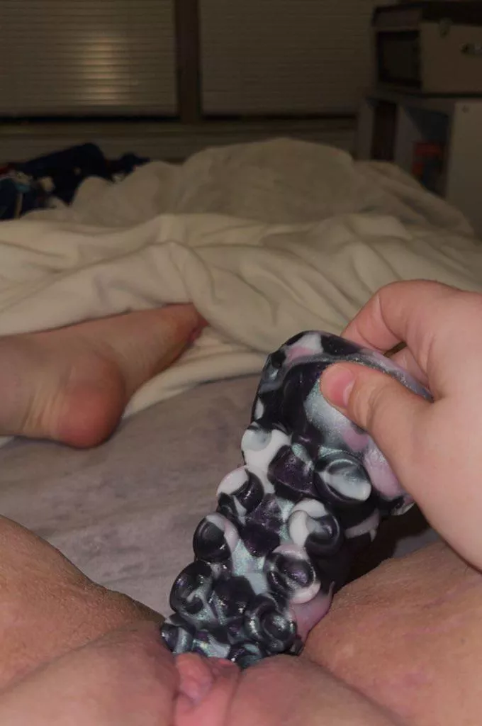 ika never fails to make my toes curl  posted by EnvironmentalCats