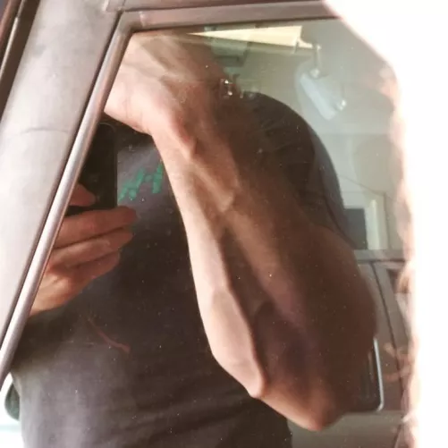 KIWI NZ by ParticularPaint9978