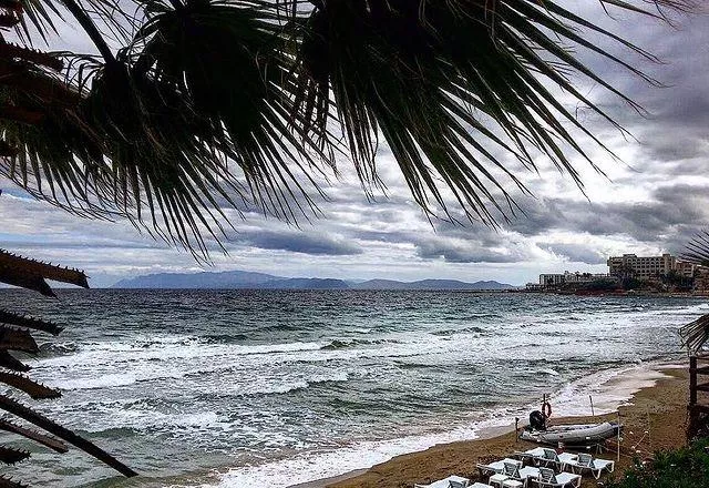 Palm trees and golden sand beach in Turkey in cloudy weather posted by rosymelanie