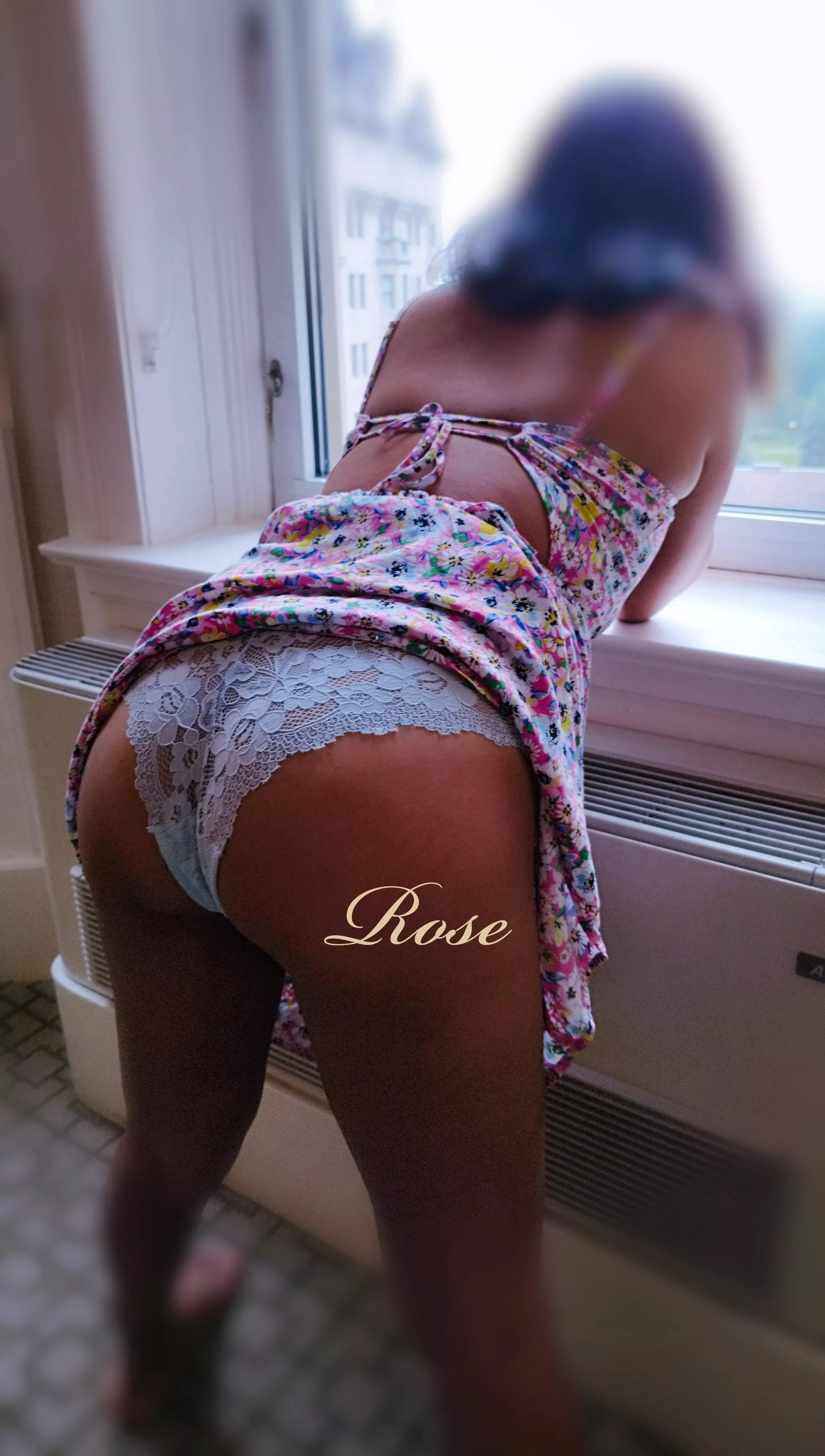 Rose posted by Free_Rose_