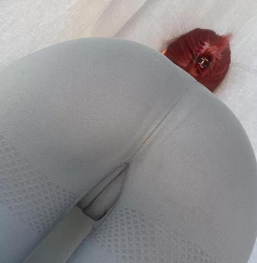 tell me if you have a good view of my camel's foot by GlowingSoull