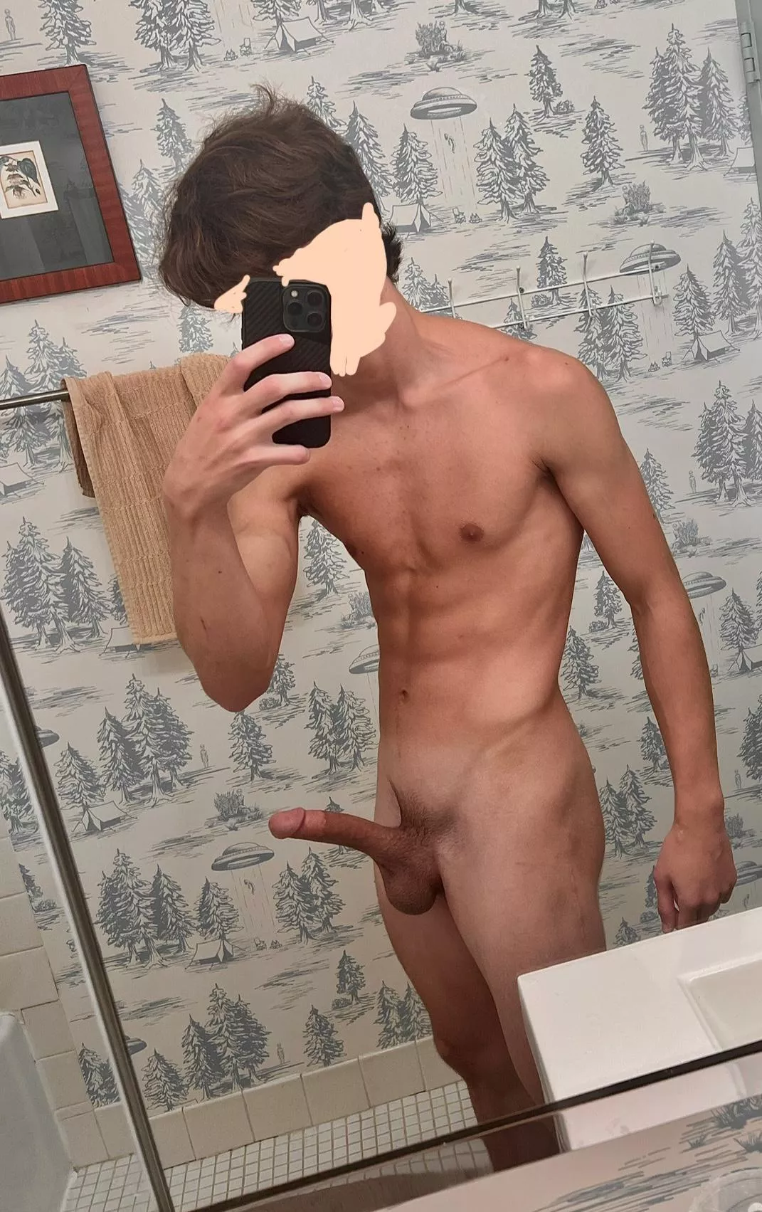 the assets are displayed [18] posted by Certain-Respect3847