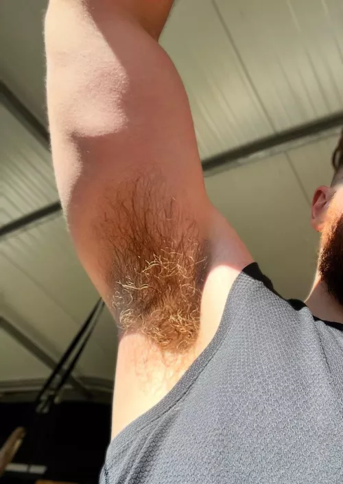 Took this pit while the sun is out  by armpitwoll