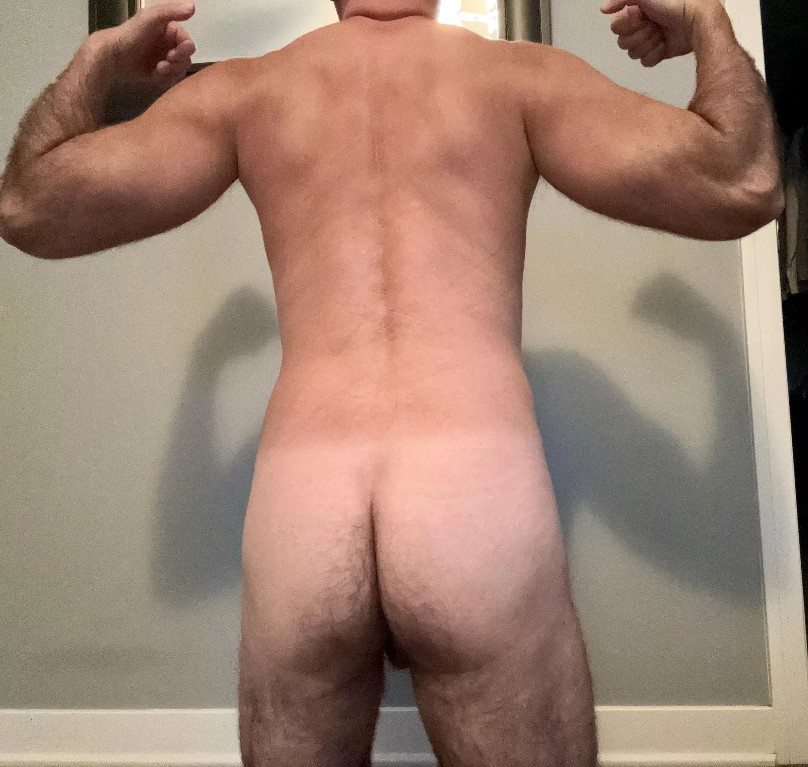 Kicked off HeSquats for not being round enough  posted by BaldJack5000