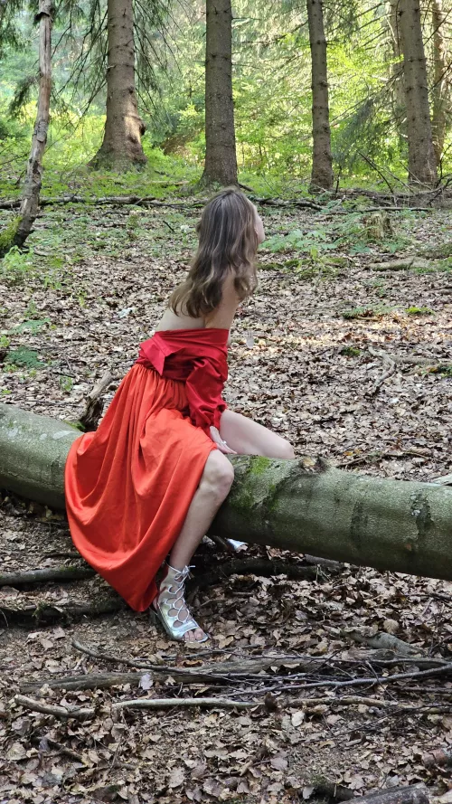 Red Riding Hood by Beauty-Full-Nature