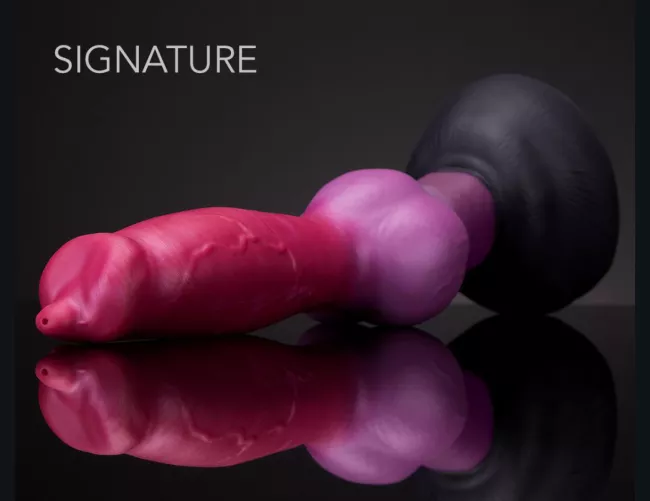 Search/Suche Rex. GER by JanevaCumCake