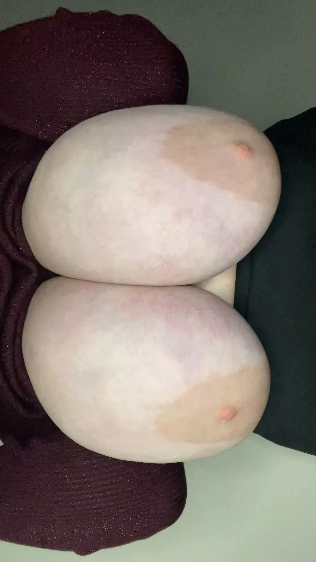 Your D would never escape being trapped between my tits posted by The_32M_Queen