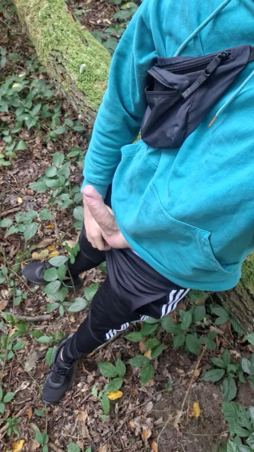 Always getting hard during my hike by SavingsNatural6955