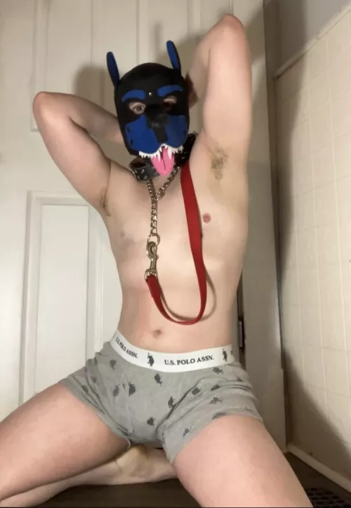 Feelin like playing ruff by heboxeswithfoxes