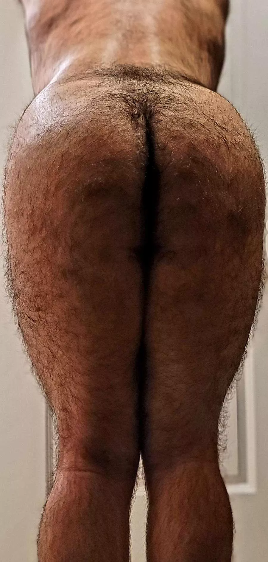 Furry posted by trvl11