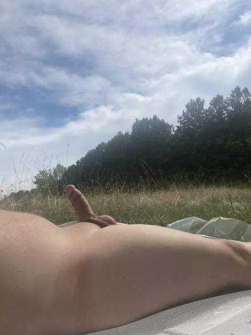 Getting a little sun.  by justmeandmyself12