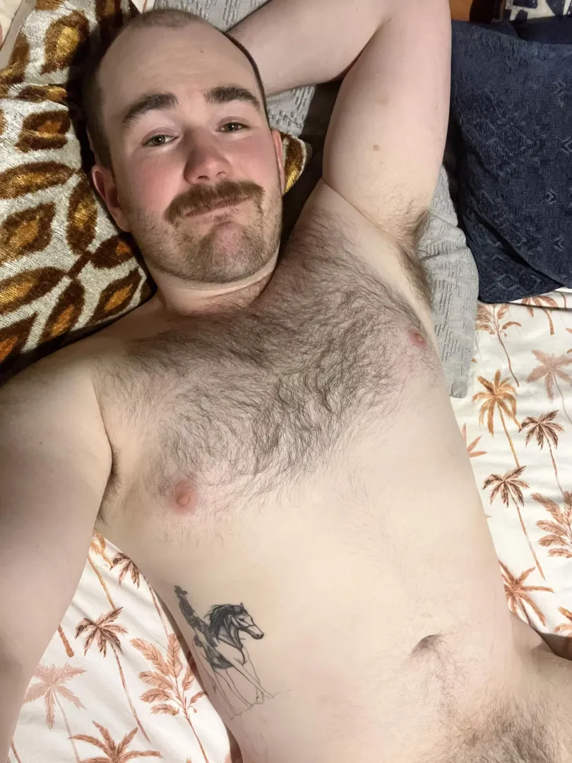 Howdy 🤠  by aussiecubthrowaway