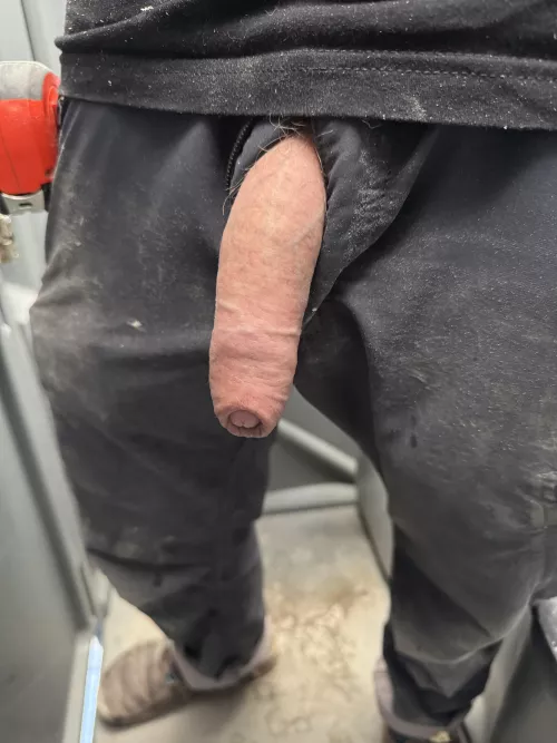 Softy at work  by SureListen641