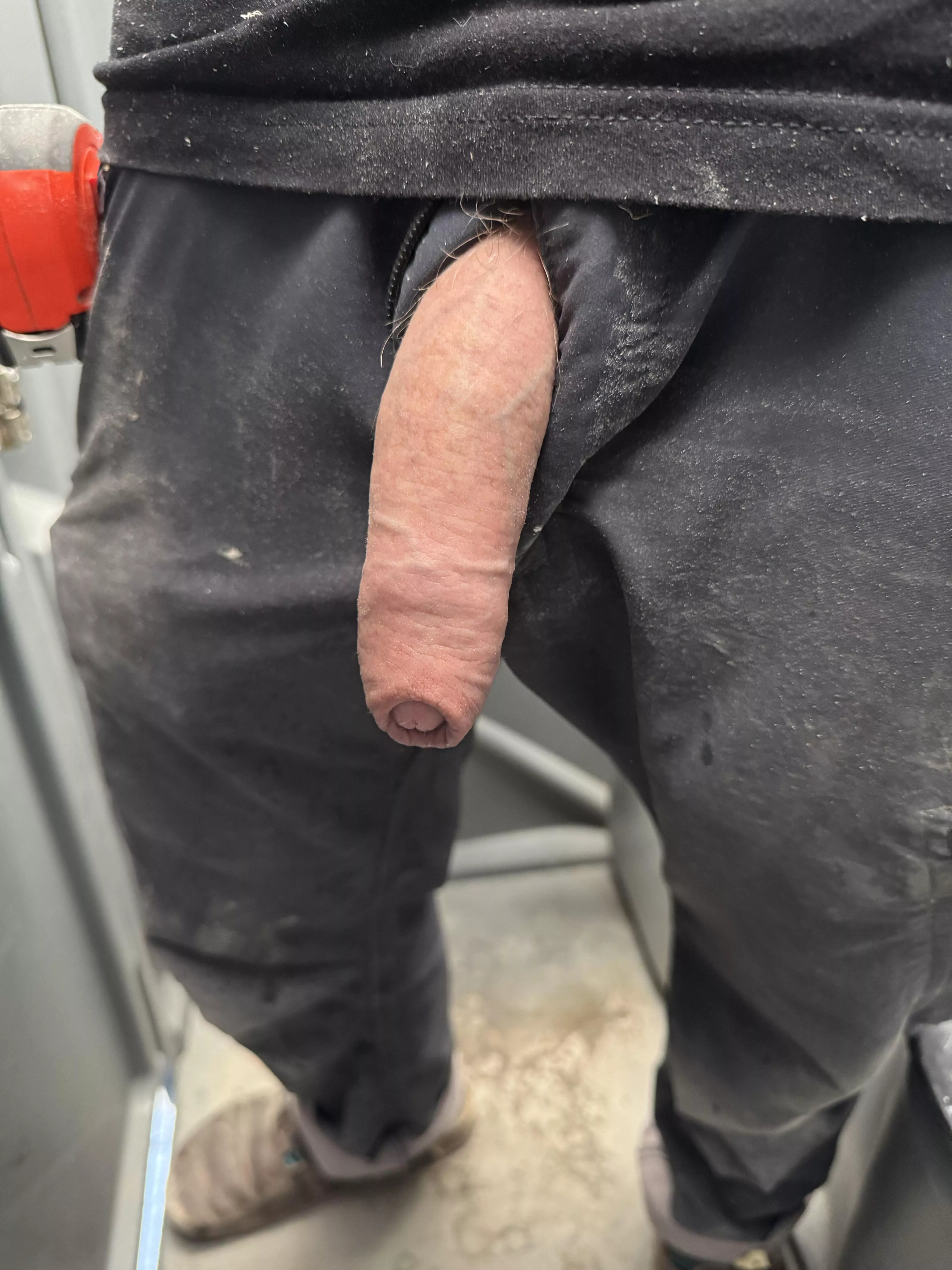 Softy at work  posted by SureListen641