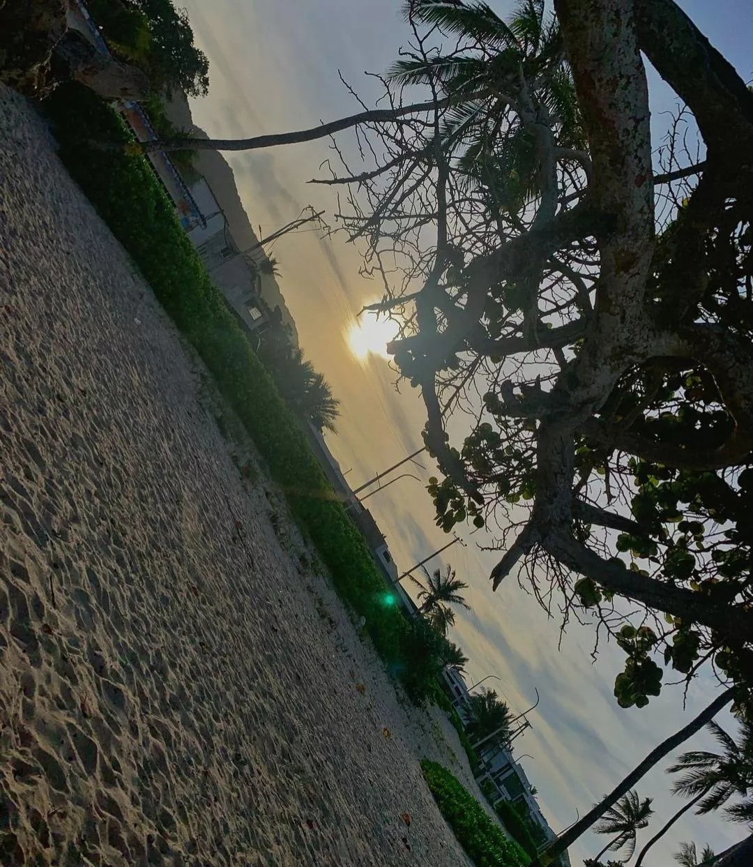 Venezuela  posted by manudiosa